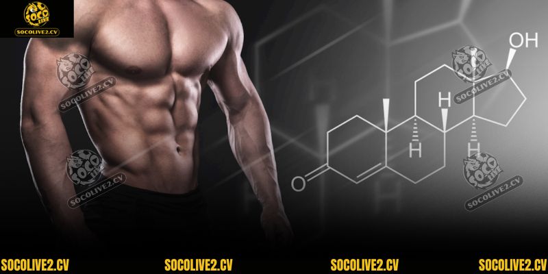 Steroid là gì?