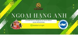 Nhận định soi kèo Sunderland vs Brighton & Hove Albion 22h00 ngày 14/03